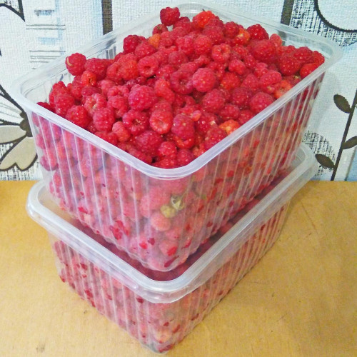 Les_25.07.2021-3.jpg