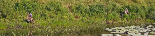 Les_02.08.2021-1.jpg