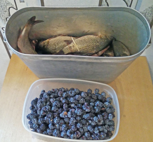 Les_02.08.2021-2.jpg