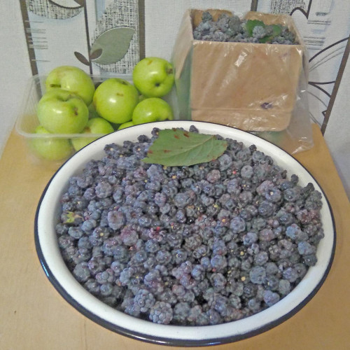 Les_04.08.2021-3.jpg