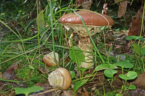 Les_05.08.2021-3.jpg