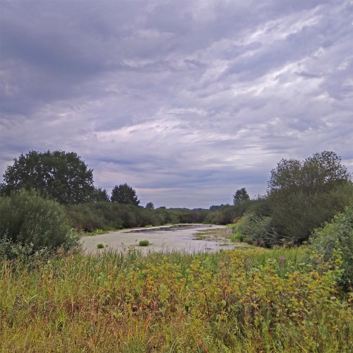 Les_05.08.2021-1.jpg