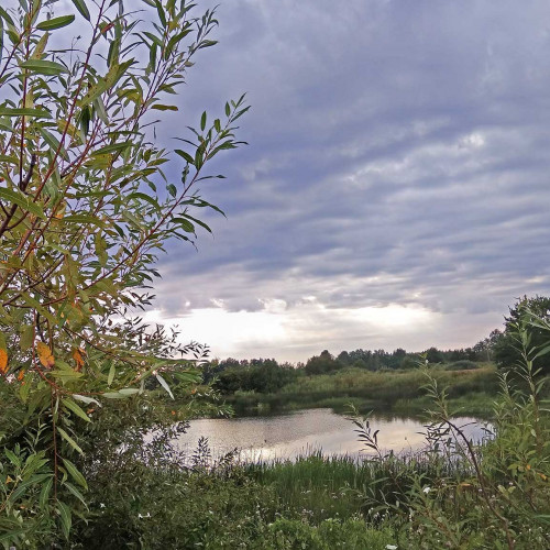 Les_05.08.2021-2.jpg