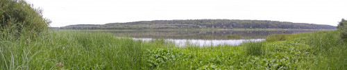 Les_12.08.2021-1.jpg