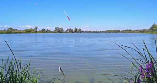 Les_14.08.2021-2.jpg