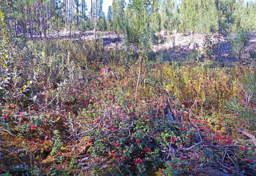 Les_03.09.2021-2.jpg