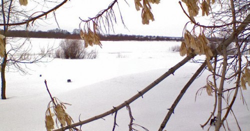 Shimrsk02042011-5.jpg