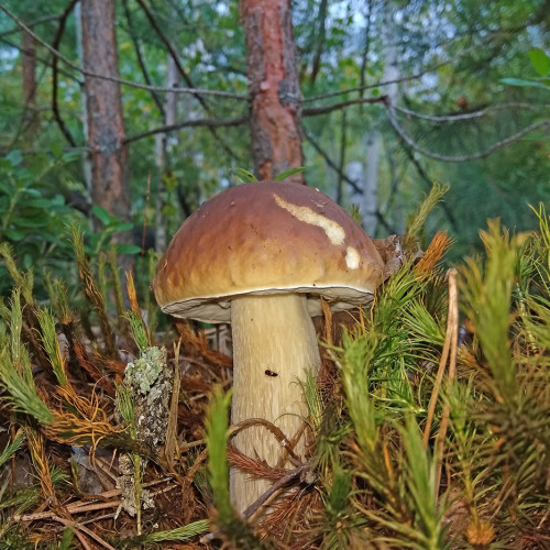 Les_10.09.2021-4.jpg