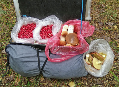 Les_10.09.2021-5.jpg