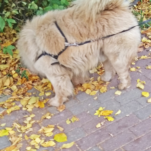 Les_15.09.2021-4.jpg