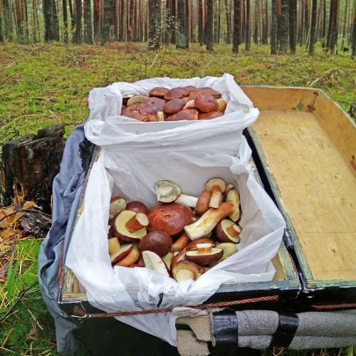 Les_22.09.2021-2.jpg