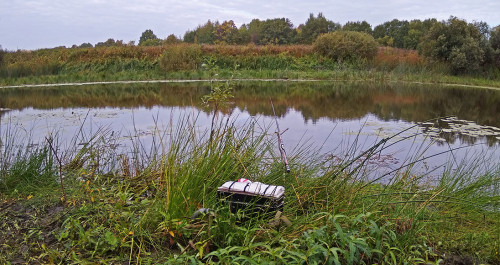Les_25.09.2021-3.jpg