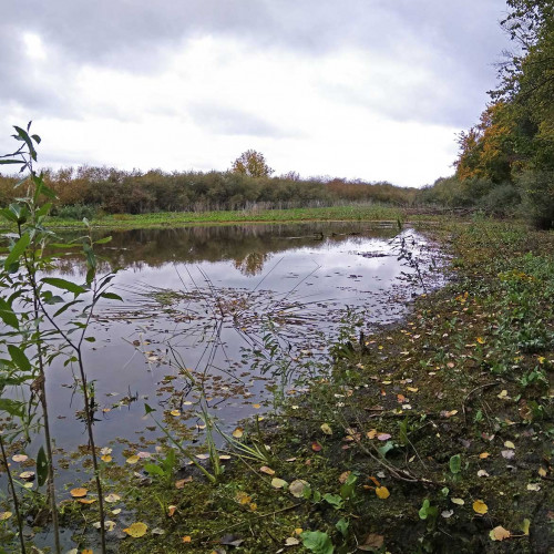 Les_27.09.2021-1.jpg