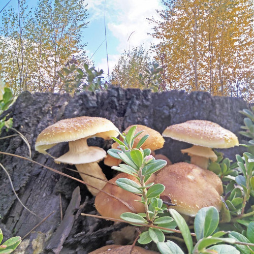 Les_28.09.2021-1.jpg