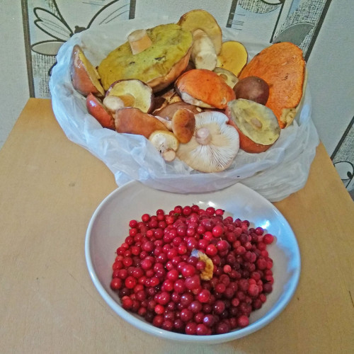Les_28.09.2021-3.jpg