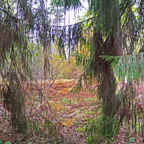 Les_02.10.2021-1.jpg