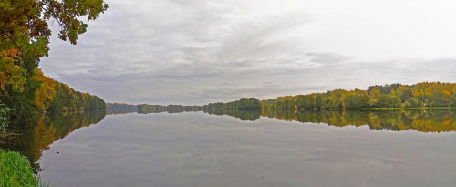Les_04.10.2021-1.jpg