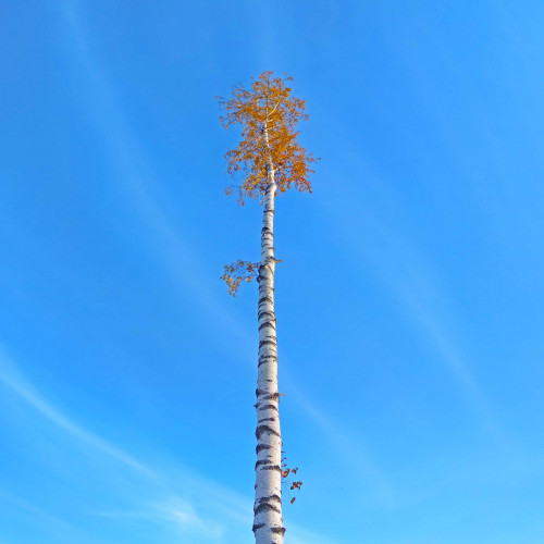 Les_06.10.2021-1.jpg