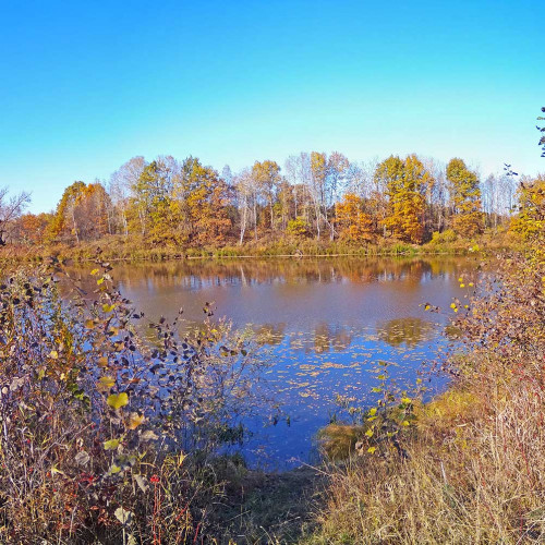 Les_07.10.2021-1.jpg