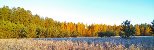 Les_09.10.2021-1.jpg