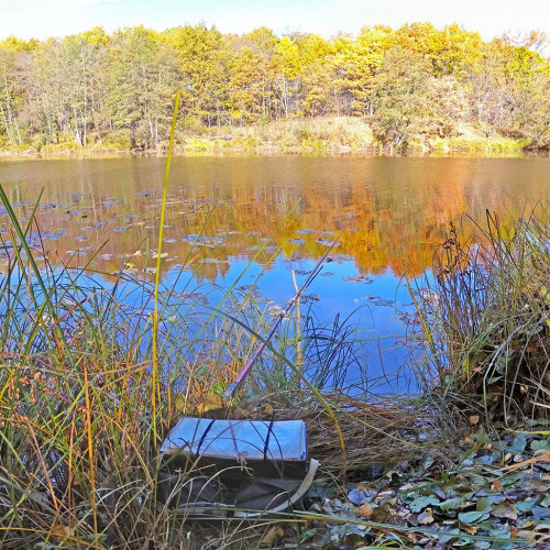 Les_09.10.2021-4.jpg