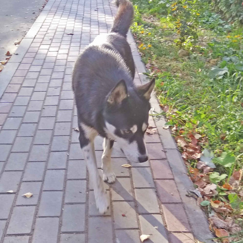 Les_09.10.2021-6.jpg