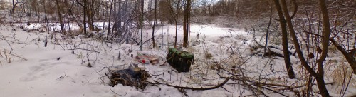 Viterevo_16112011-4.jpg