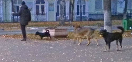 Les_12.10.2021-5.jpg