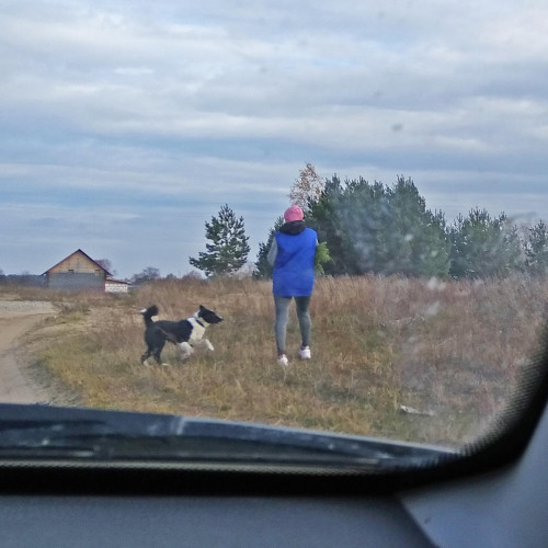 Les_16.10.2021-4.jpg