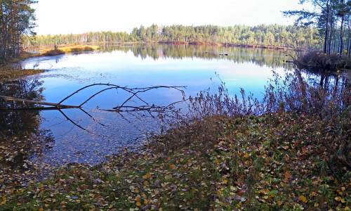 Les_17.10.2021-1.jpg