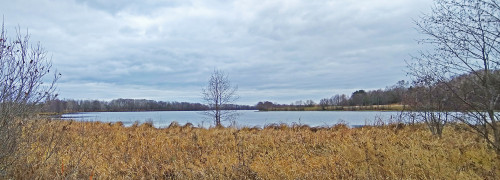Les_29.10.2021-1.jpg