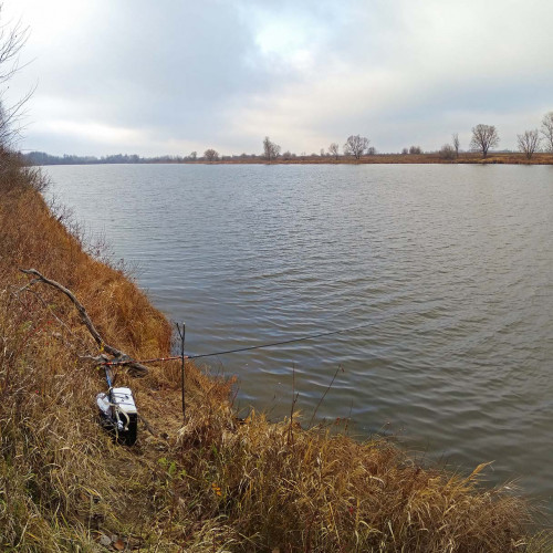 Les_31.10.2021-2.jpg