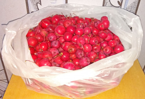 Les_31.10.2021-6.jpg