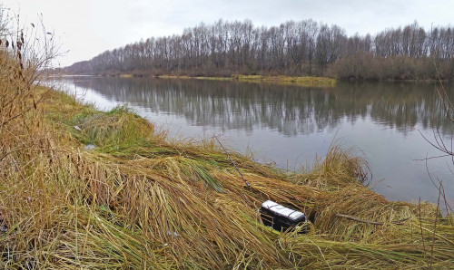 Les_03.11.2021-4.jpg