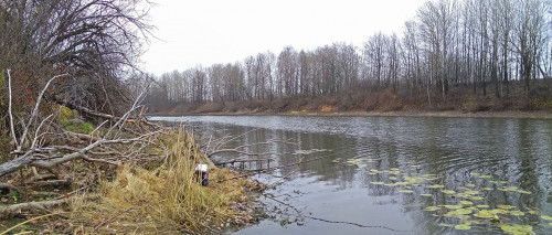 Les_05.11.2021-6.jpg