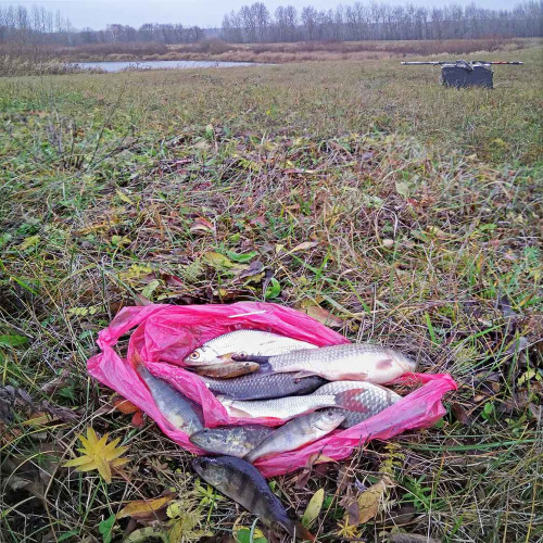 Les_05.11.2021-7.jpg