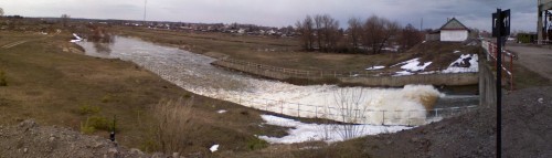 Vilja17042011-2.jpg