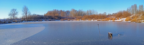 Les_23.11.2021-4.jpg