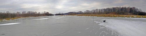 Рыб_26.11.2021-2.jpg