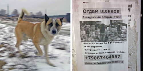 Рыб_28.11.2021-6.jpg
