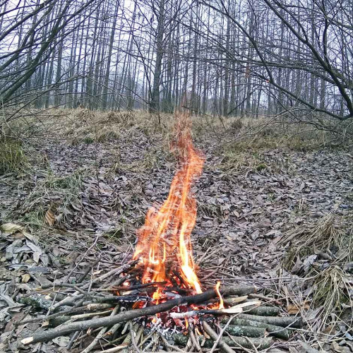 Рыб_02.12.2021-3.jpg