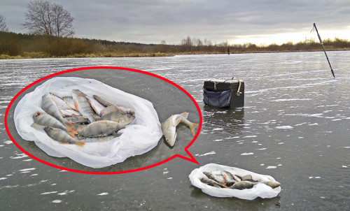 Рыб_02.12.2021-4.jpg