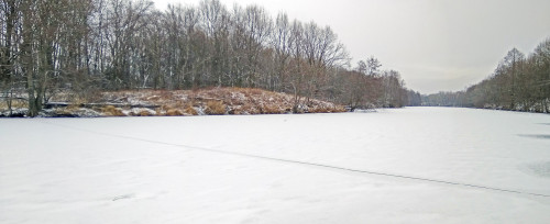 Рыб_05.12.2021-3.jpg