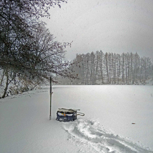 Рыб_07.12.2021-2.jpg