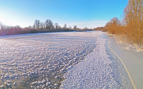 Рыб_11.12.2021-1.jpg