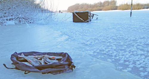 Рыб_11.12.2021-5.jpg