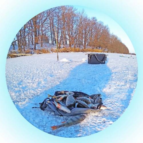 Рыб_12.12.2021-4.jpg