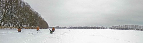 Рыб_15.12.2021-1.jpg