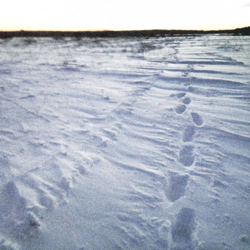 Рыб_26.12.2021-2.jpg