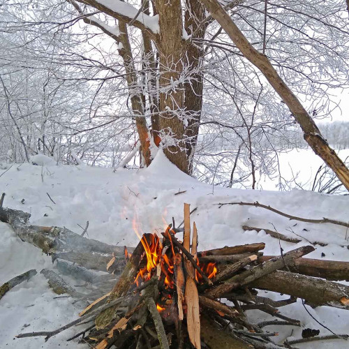 Рыб_29.12.2021-4.jpg